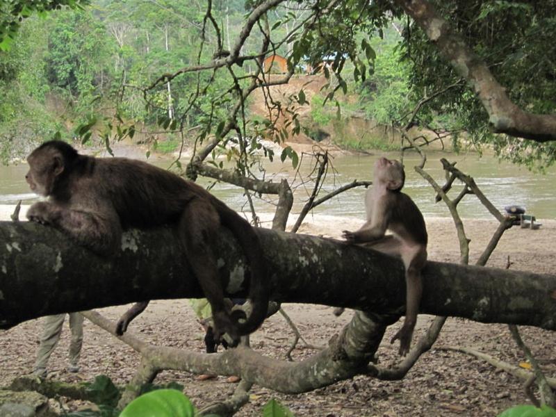 Grand Selva Lodge & Tours 테나 외부 사진