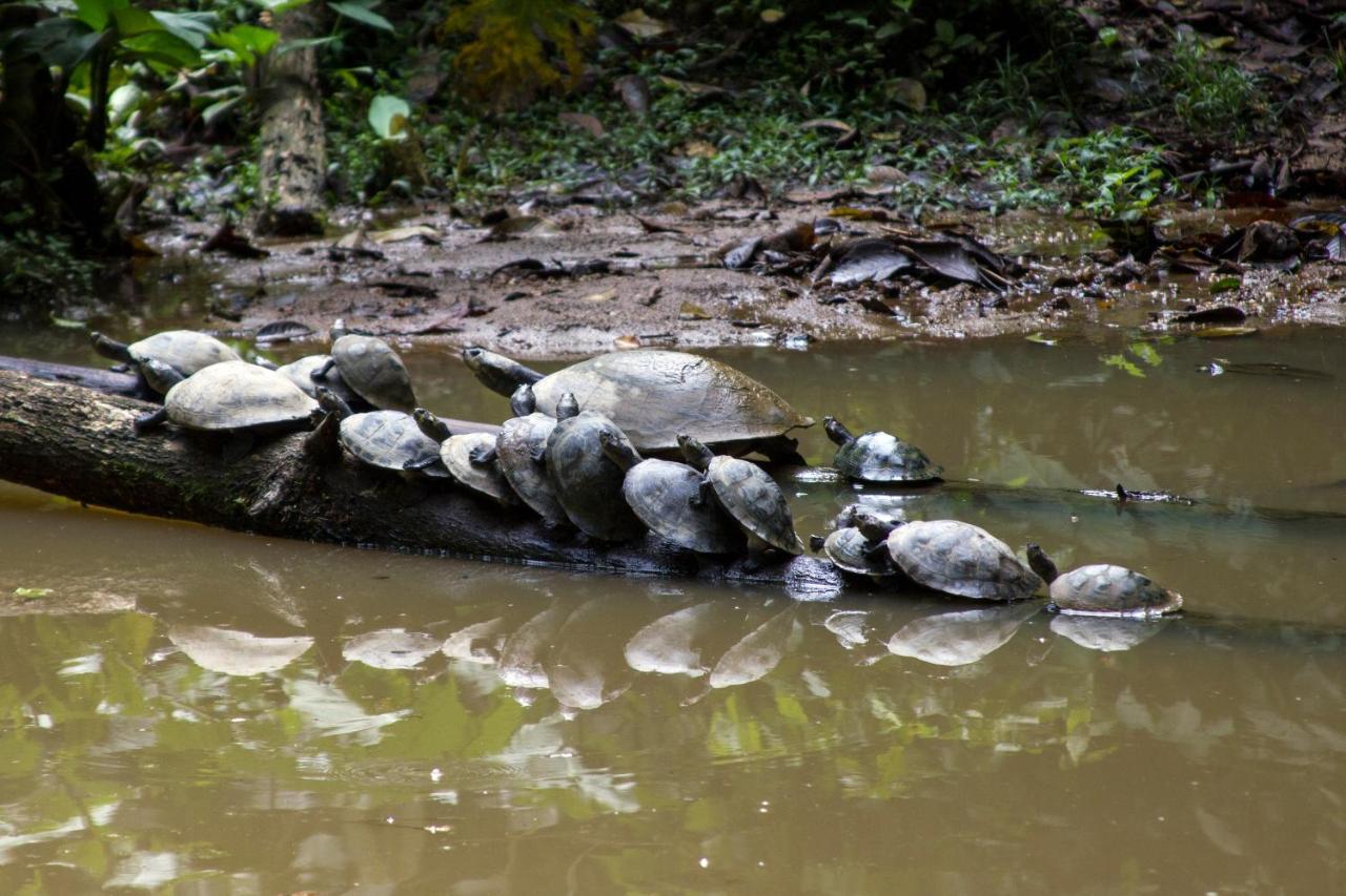 Grand Selva Lodge & Tours 테나 외부 사진