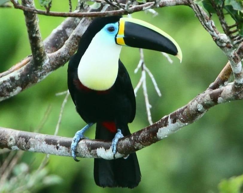 Grand Selva Lodge & Tours 테나 외부 사진