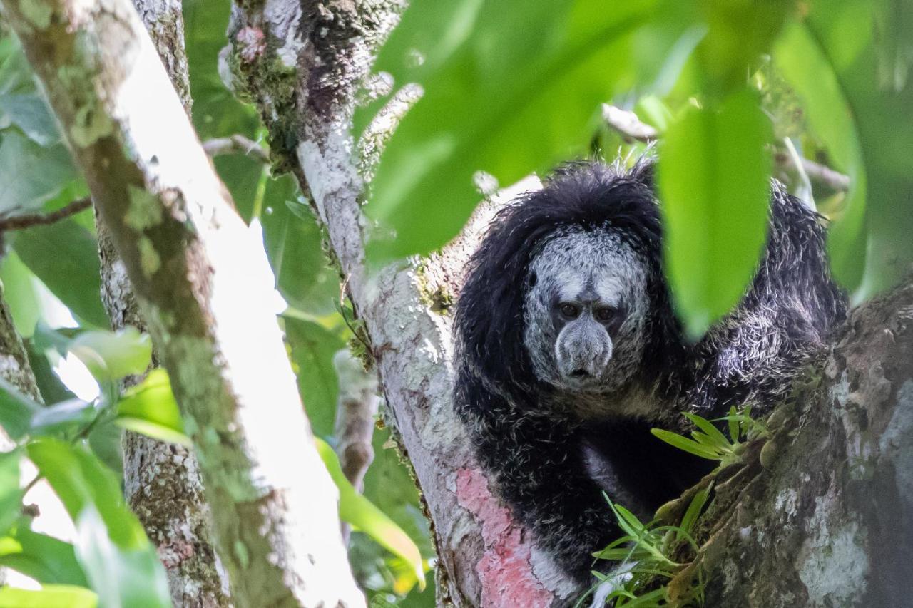 Grand Selva Lodge & Tours 테나 외부 사진