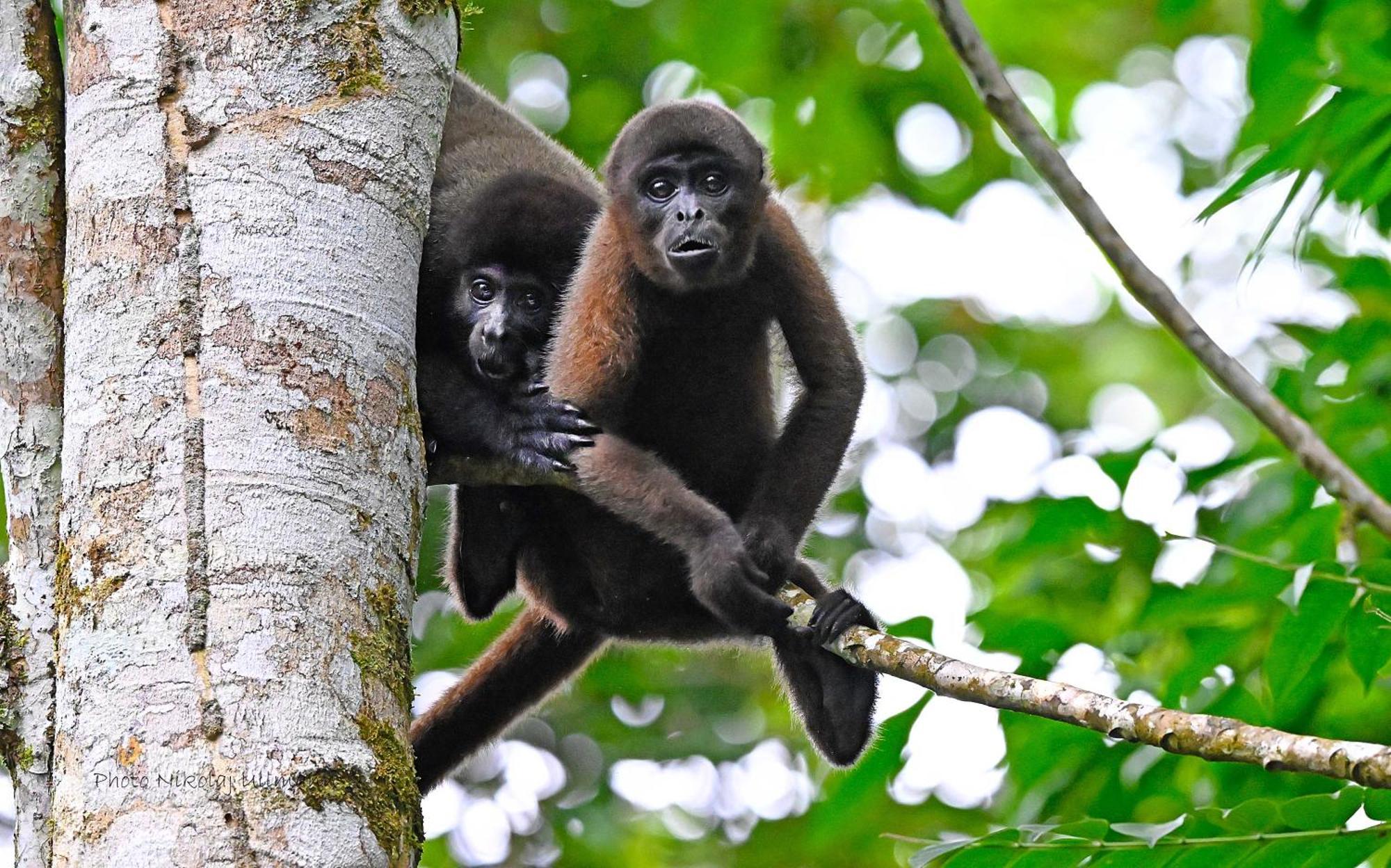 Grand Selva Lodge & Tours 테나 외부 사진